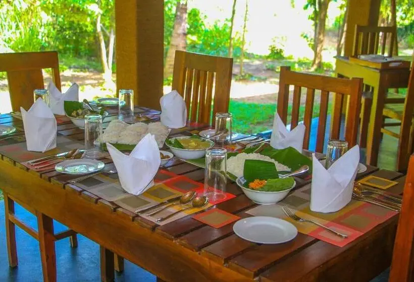 スーペリアファミリールーム, Ceylon Amigos Eco Resort