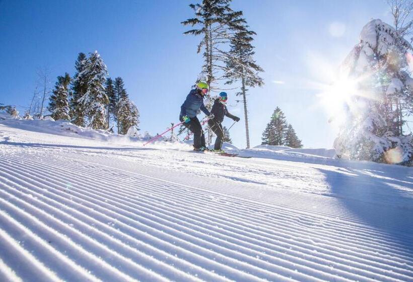マウンテンビュースタンダードルーム, Panorama Sport
