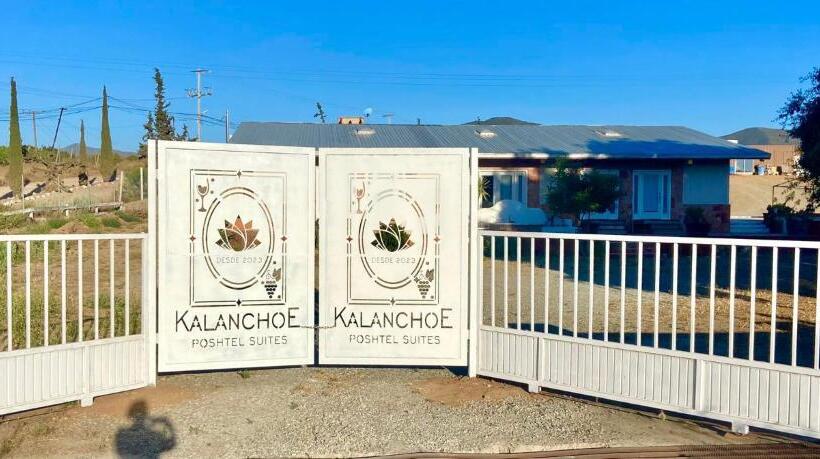 إستوديو قياسى, Kalanchoe Poshtel Suites