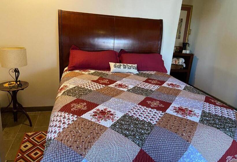 إستوديو قياسى, Kalanchoe Poshtel Suites