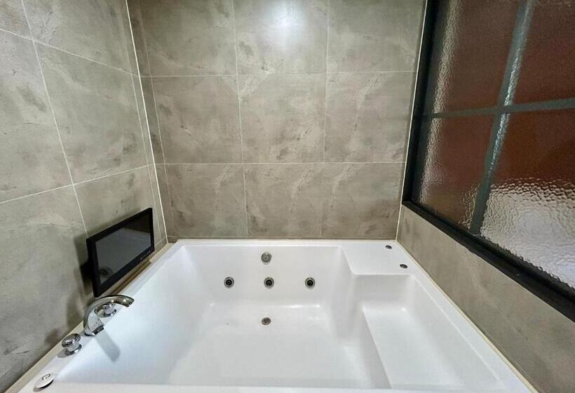 اتاق استاندارد, Arieti A