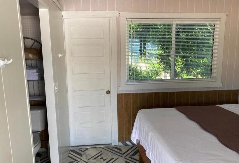 إستوديو قياسى, Tropical View