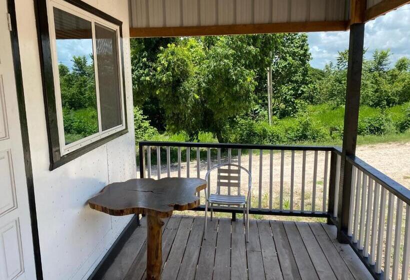 إستوديو قياسى, Tropical View