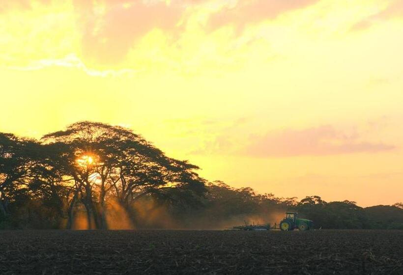 إستوديو قياسى, Tropical View
