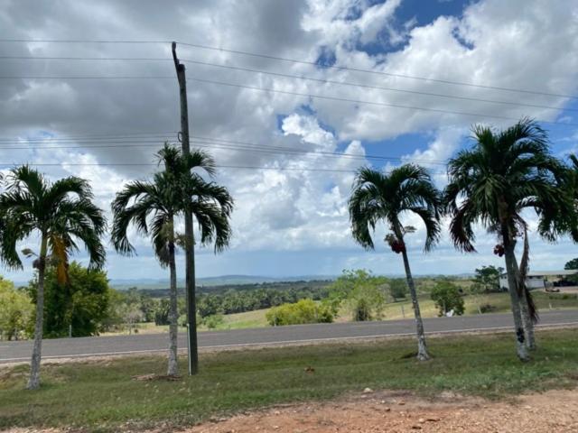 إستوديو قياسى, Tropical View