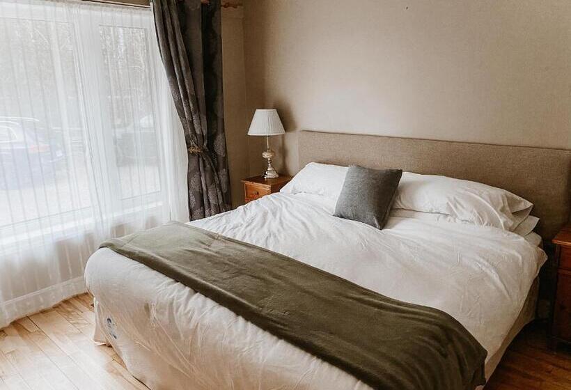 غرفة قياسية سرير كينج, Irish Mountain Suites