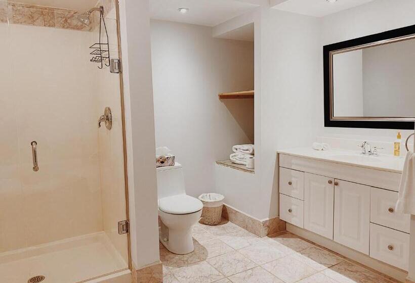 带大床的标准间, Irish Mountain Suites