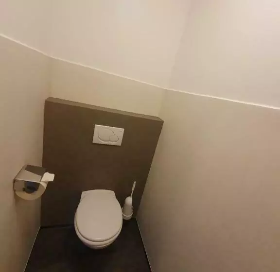 آپارتمان 1 خوابه با بالکن, Aparthotel Pichler