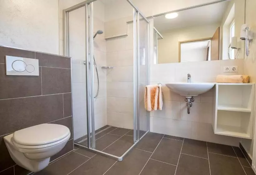 آپارتمان 2 خوابه, Aparthotel Pichler
