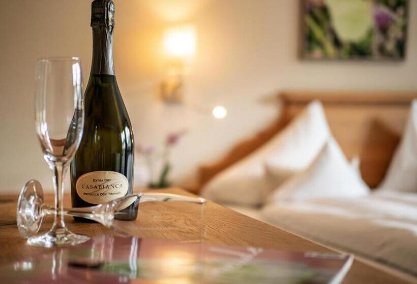 Номер Стандарт Вид на Горы, Alpen Glück Hotel Villa Lisa Garni