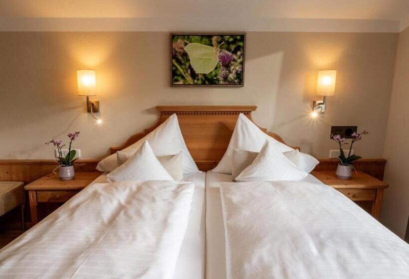 Номер Стандарт Вид на Горы, Alpen Glück Hotel Villa Lisa Garni