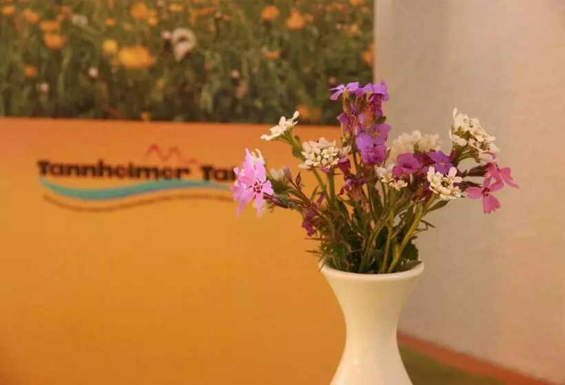 Habitació Economy, Das Edelweiss
