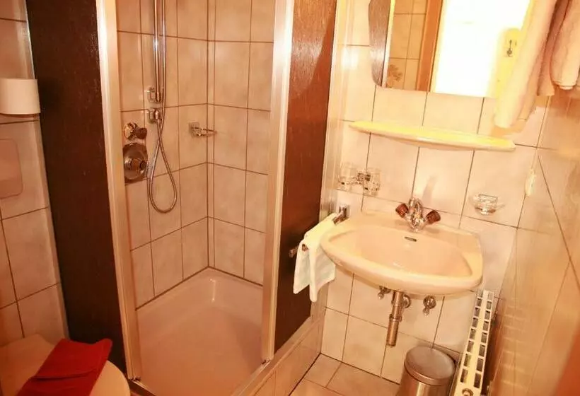 Habitació Economy, Das Edelweiss