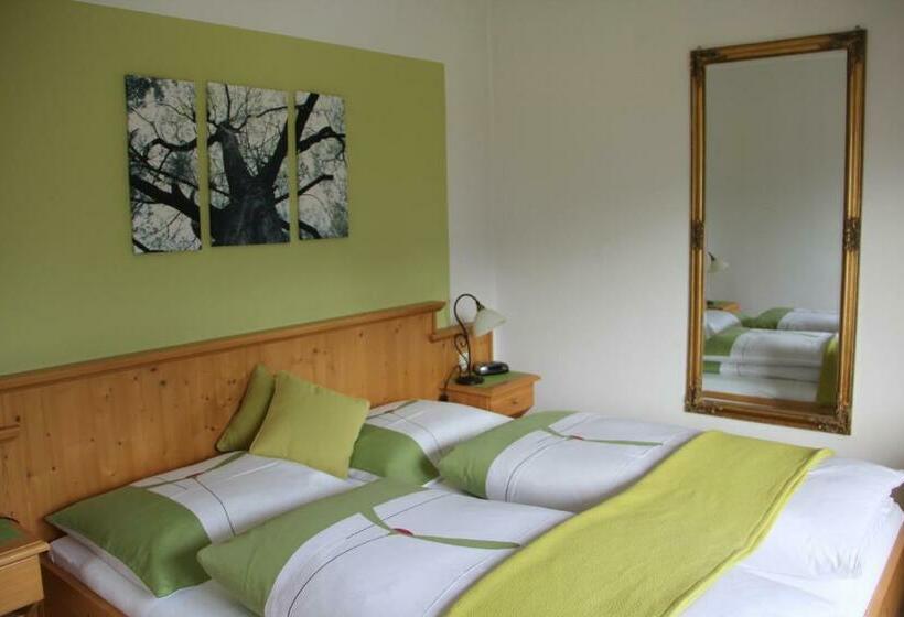 Номер Стандарт с Балконом, Das Panoramablick