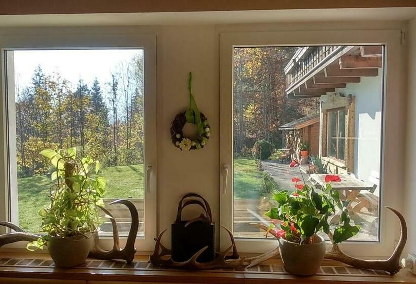 Номер Стандарт с Балконом, Das Panoramablick