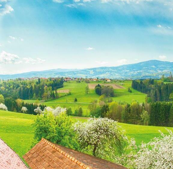 Номер Стандарт, Frühstückspension Zanglhof