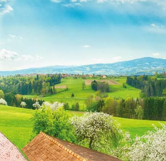 スタンダードルーム, Frühstückspension Zanglhof