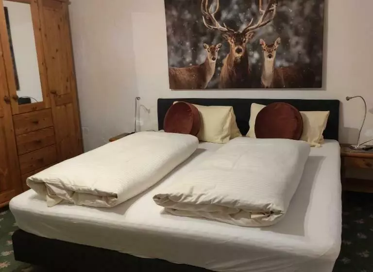 Estudi estàndard amb Vistes, Post Garni