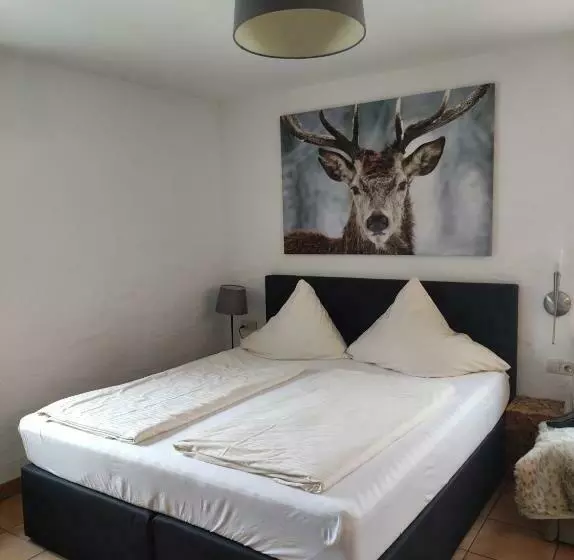 Estudi estàndard amb Vistes, Post Garni