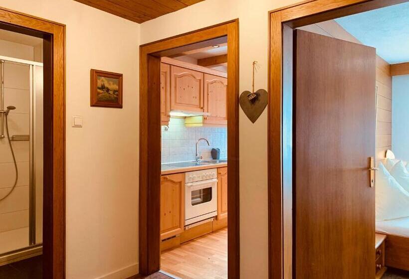 バルコニー付き1ベッドルームアパートメント, Pension Jagerhof Sommercard Inkl 5 Min Zum Hochzeiger