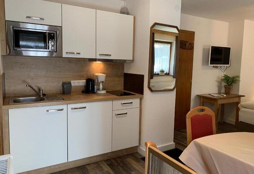 1ベッドルームアパートメント, Pension Jagerhof Sommercard Inkl 5 Min Zum Hochzeiger