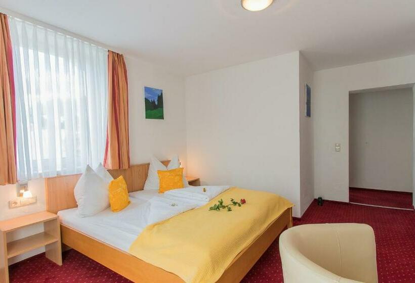 اتاق استاندارد با چشم‌انداز کوهستان, Sporthotel Kitz