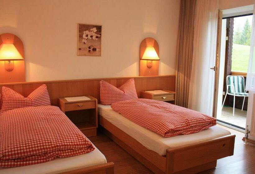 标准间带阳台, Landhotel Wolf