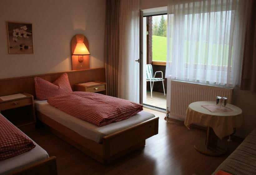 标准间带阳台, Landhotel Wolf