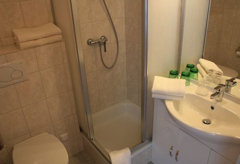 Номер Стандарт с Балконом, Landhotel Wolf