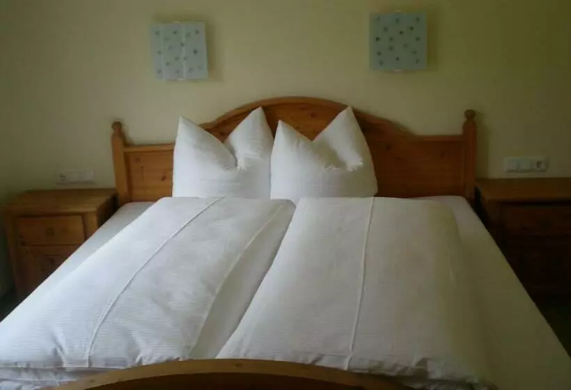 コンフォートルーム, Posthotel Mayrhofen