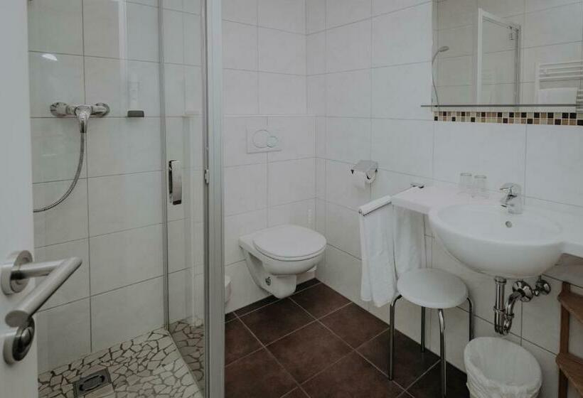 חדר סטנדרט נוף להרים, Sporthotel Kitz