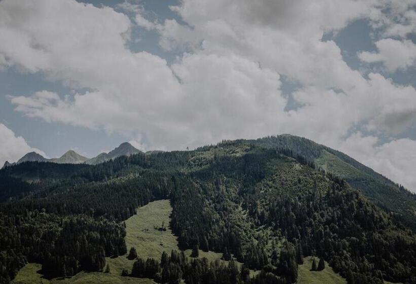 اتاق استاندارد با چشم‌انداز کوهستان, Sporthotel Kitz