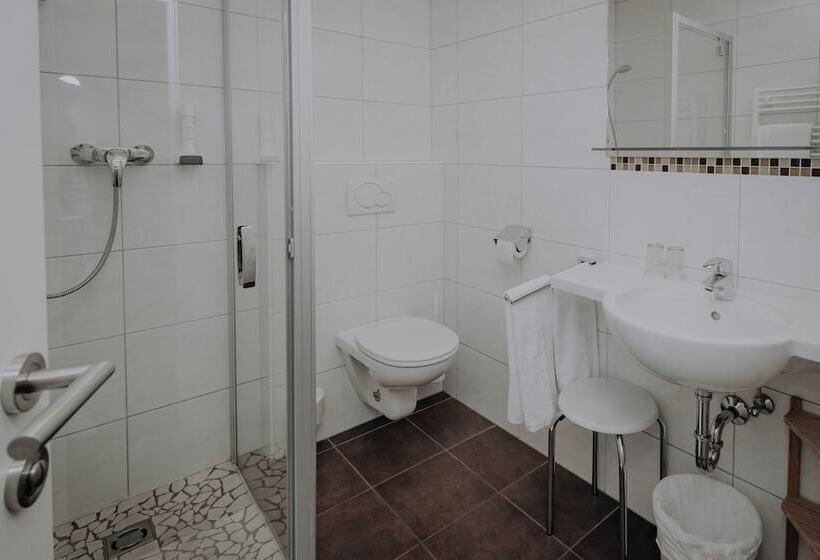 חדר סטנדרט נוף להרים, Sporthotel Kitz