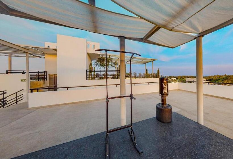 Апартаменты 1 Спальня, Cardinal Living San Jose Del Cabo D 301