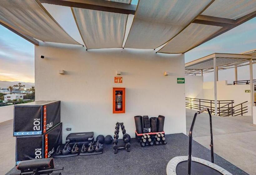 Апартаменты 1 Спальня, Cardinal Living San Jose Del Cabo D 301