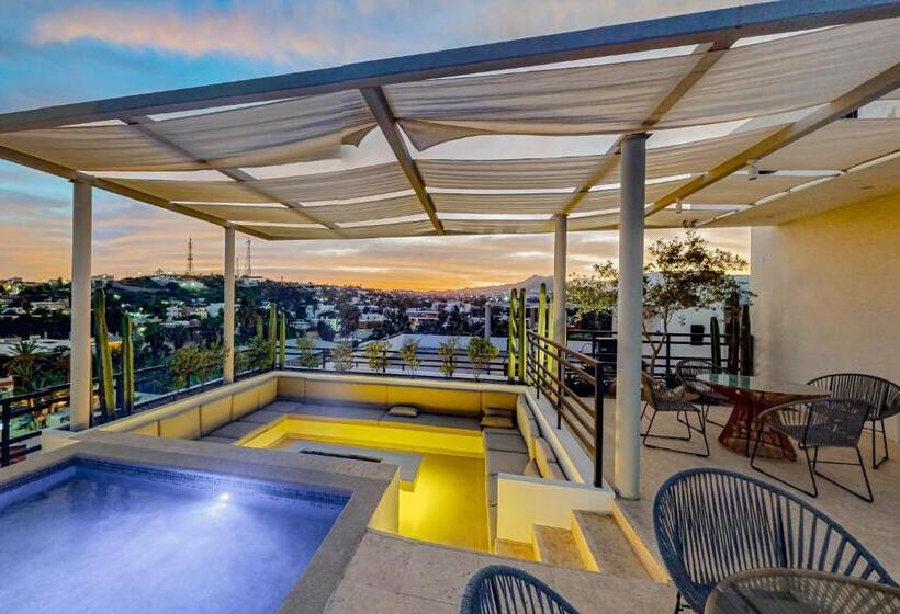 Апартаменты 1 Спальня, Cardinal Living San Jose Del Cabo D 301