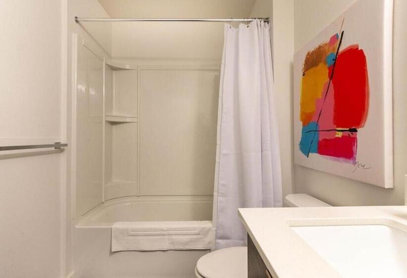 Апартаменты 1 Спальня, In Suite Washer Drye In Suite Washer Dryer King