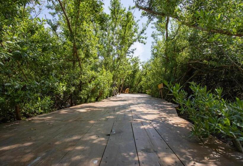 چادر با خدمات رفاهی استاندارد, Posada Corazon Mazunte