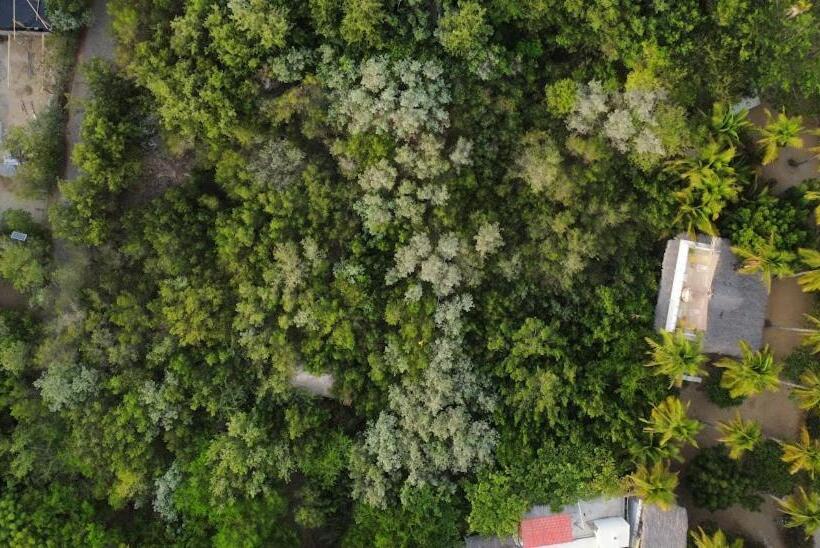 چادر با خدمات رفاهی استاندارد, Posada Corazon Mazunte