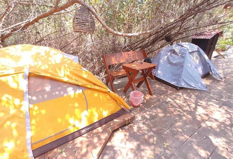 چادر با خدمات رفاهی استاندارد, Posada Corazon Mazunte