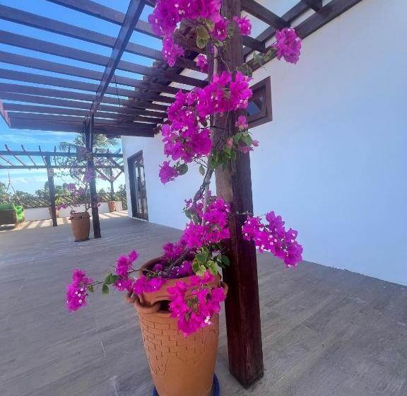 سوئیت جونیور با تراس, Pousada Varanda Amar   Icaraizinho De Amontada