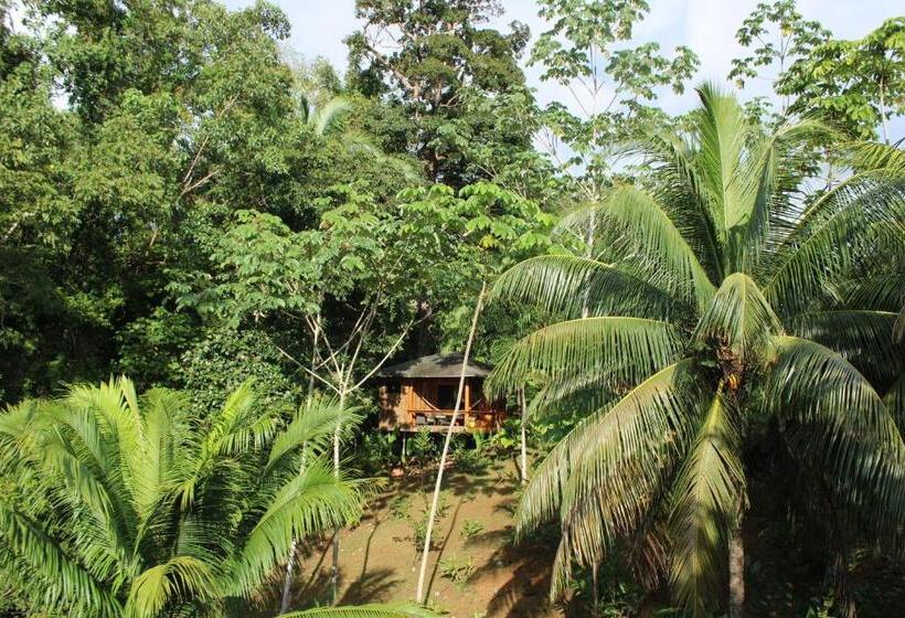 וילה בת חדר שינה 1, Natural Drake Bay Hotel Boutique