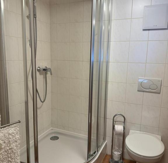 شقة غرفة واحدة, Haus Edelweiss