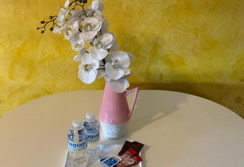 استودیوی استاندارد با چشمانداز دریا, Suites Brisa Marina Playa Regatas Y Malecón