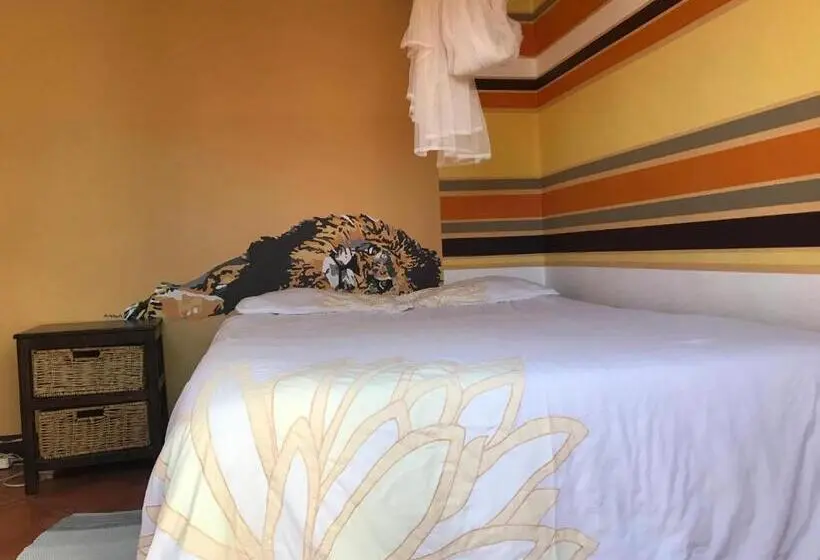 اتاق استاندارد, Paradisegarden Backpackers
