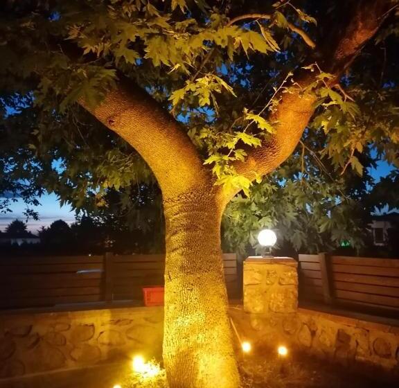 수피리어 룸, Vital Home Sapanca Isıtmalı Havuzlu Villa&bungalov