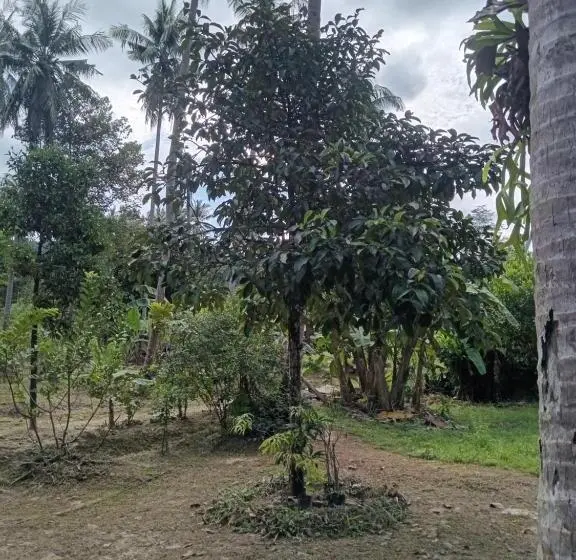 デラックスルーム, Chom Suan Farmstay