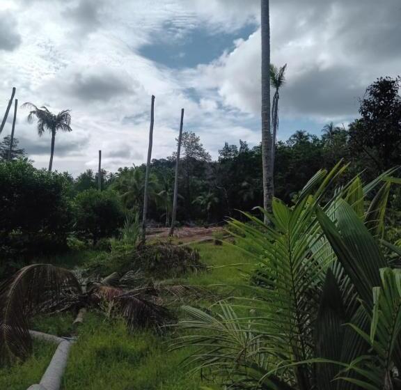 غرفة ديلوكس, Chom Suan Farmstay