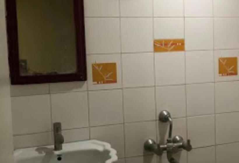 Люкс, Regency Maharashtra