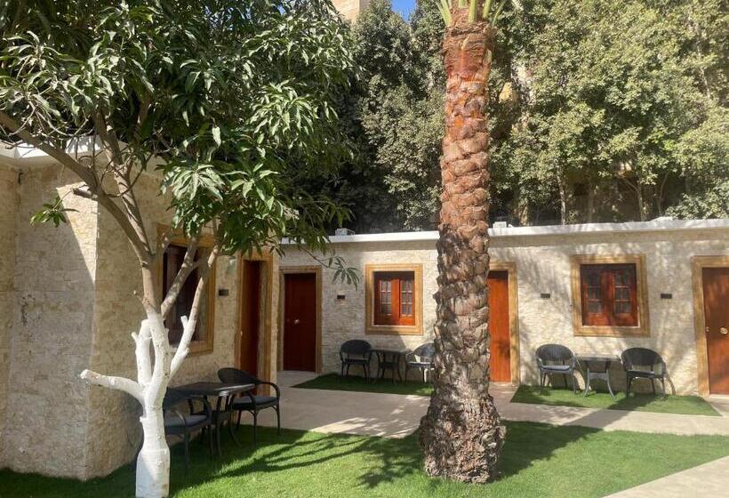 اتاق استاندارد با چشم‌انداز باغ, Turquoise Pyramids